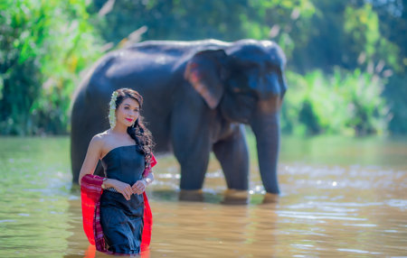 Beautiful thai women wearing traditional thai clothes standing on an elephant in nature park thailand, woman concept.の写真素材