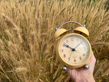 Retro alarm clock in hand on the background of wheat ears.の写真素材