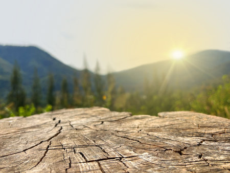 Wooden texture background with bokeh image and sun light.の写真素材