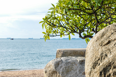 The beautiful sea view の写真素材