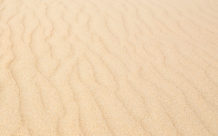 Sand waves texture with diagonal pattern. Sandy beach for background. Perspective viewの写真素材