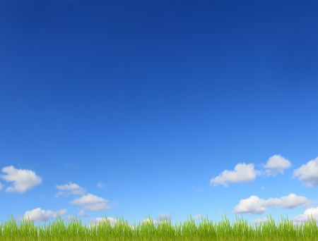 sky and green grass backgroundの写真素材
