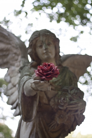 angel giving rose with loveの写真素材