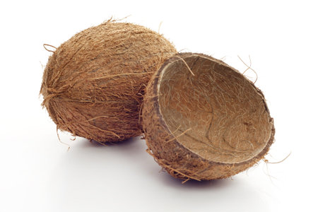 coconut empty shells