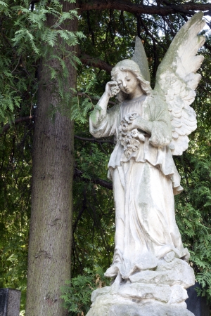 	Sculpture of angel on cemetery in Warsawの写真素材