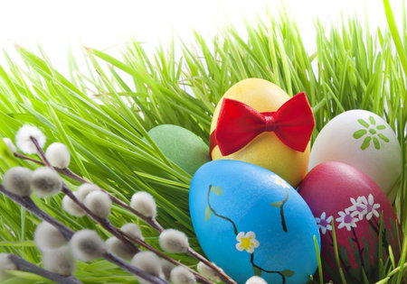 Easter eggs in green grass on meadow