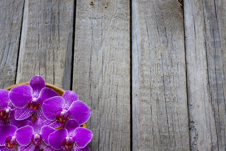 Orchid on wooden boards spa cosmetic abstract vintage backgroundの写真素材