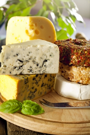 Cheese various assortment on wooden boardsの写真素材