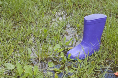 Wellingtons in spring rainy day on green grassの写真素材