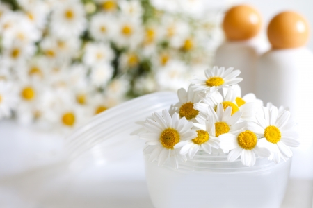 Cosmetics chamomile and empty containerの写真素材