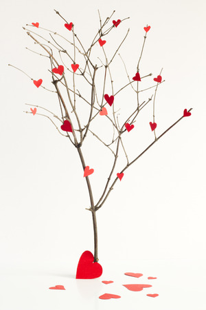 Paper hearts on the tree abstract sign of loveの写真素材