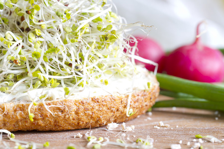 Radish sprouts on the sandwich healthy food closeupの写真素材