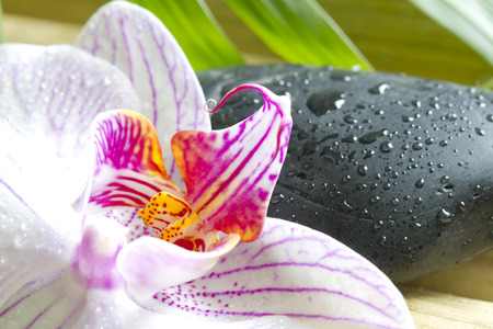 Zen stones with orchid abstract closeup still lifeの写真素材