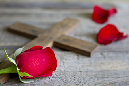 Cross and rose religion sign symbol abstract conceptの写真素材