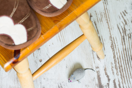 April Fool's Day concept with mouse and feet frightened womanの写真素材