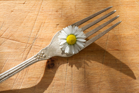 Spring daisy and cutlery on wooden boards abstract still lifeの写真素材