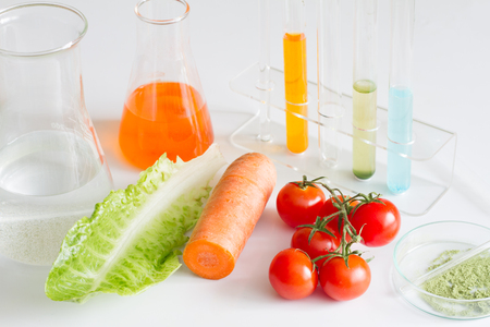 Test vegetables in laboratory control of pesticidesの写真素材