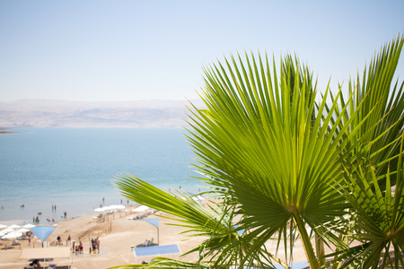 Dead sea Kalia beach Israelの写真素材