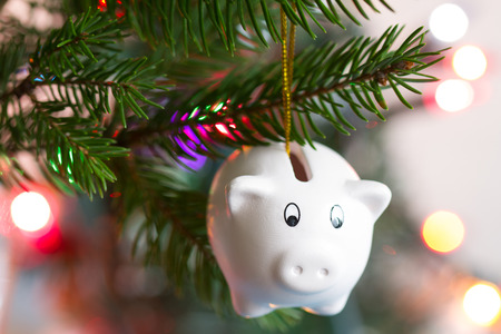 Save money and christmas concept with piggy bank and treeの写真素材