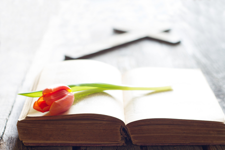 Easter spring tulip and bible with cross abstract backgroundの写真素材