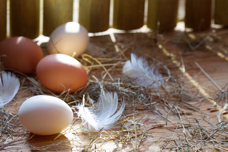 Organic spring eggs in chicken eggs in the morning easter spring abstract backgroundの写真素材
