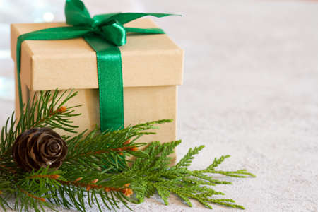 Christmas composition. Christmas gift, jute, pine cone and fir twigs on light backgroundの写真素材