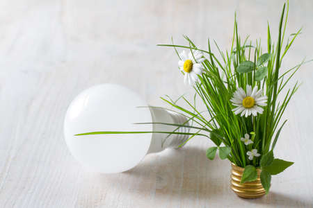 Energy saving concept, plants growing out of light bulbの写真素材