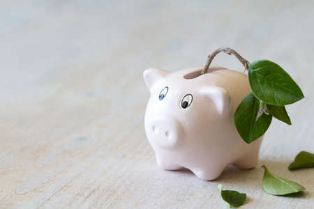 Pig piggy bank with withered plant.の写真素材