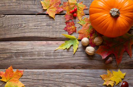 Colorful autumn leaves and pumpkin on wooden backgroundの写真素材