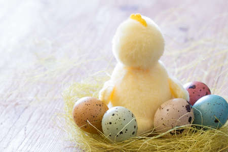 Easter decoration background, colored eggs and chicken in nestの写真素材
