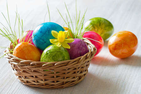 Colored eggs in basket with flower, easter decoration backgroundの写真素材