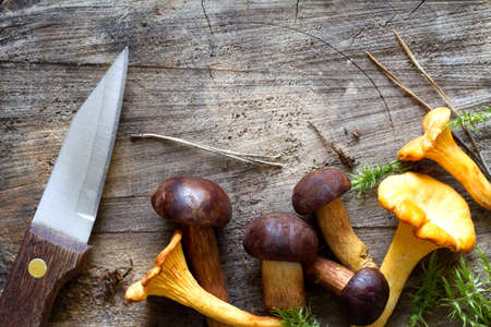 Autumn mushrooms and penknife on old wooden boardの写真素材