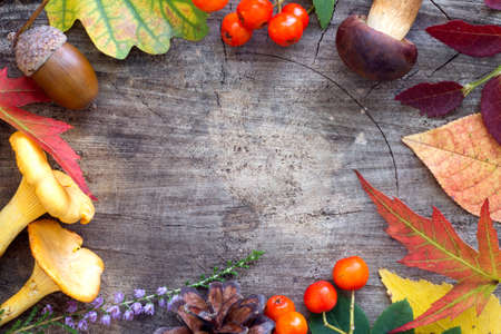 Autumn composition with colorful leaves and autumn crops on old wooden boardの写真素材
