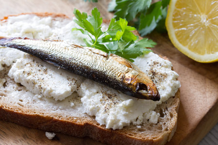 Sandwich with sprats, cottage cheese and parsleyの写真素材