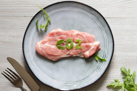 Meat production and global problem with emissions co2, carbon footprint concept with pork steak on plateの写真素材