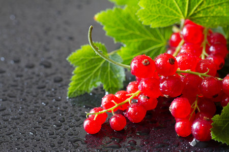 Red currant with leaves on black backgroundの写真素材
