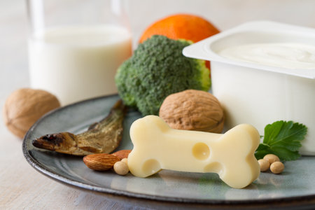 Bone shaped cheese and bone strengthening foods products, concept osteoporosis and preventionの写真素材