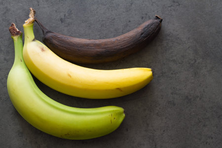 Green, yellow and brown banana on dark background, three level of ripeness of bananas, conceptの写真素材