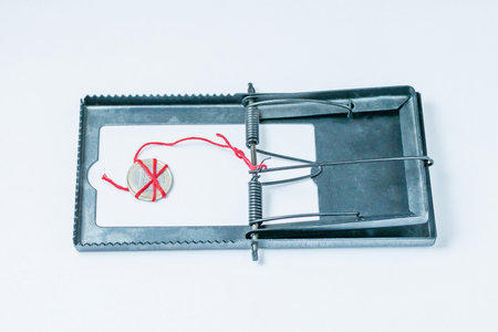 A one-Euro coin as bait in a mousetrap. White background