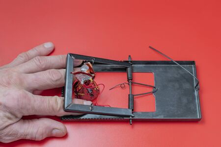 The hand of an adult man was caught in a mousetrap with a candyの写真素材