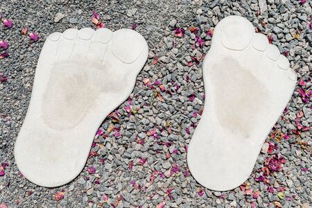 Petals of red flowers and a trace of concrete lie on the path of rubbleの写真素材