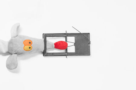 Collage of a toy mouse and a mousetrap. On white background