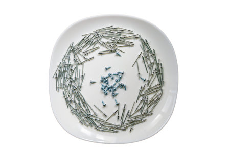 Image of scattered rivets and screws on the plate
