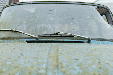 A fragment of an old, mud-covered, rotten car