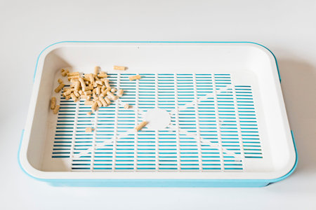 The image of woody litter tray for cats