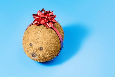 Coconut collage in the form of a gift keg for a drink on a blue backgroundの写真素材