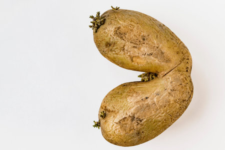 The dried tuber of a potato on a decorative background
