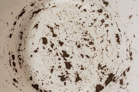 Women's hands in the ground transplanting flowers in a large potの写真素材