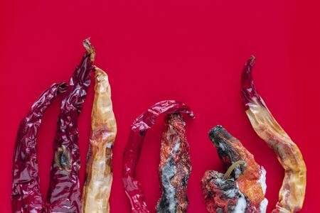 Rotten bitter pepper on a red backgroundの写真素材
