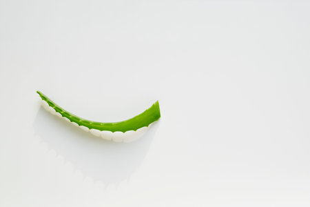 A sprig of the medicinal plant aloe on a white background